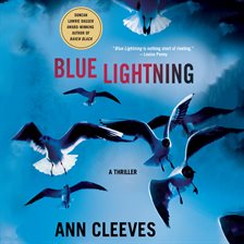 Cover image for Blue Lightning