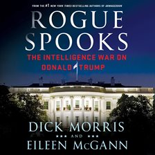 Cover image for Rogue Spooks