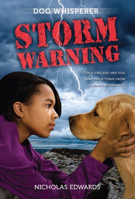 Cover image for Storm Warning