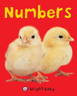 Cover image for Bright Baby Numbers