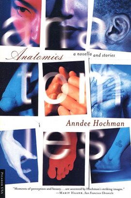 Cover image for Anatomies
