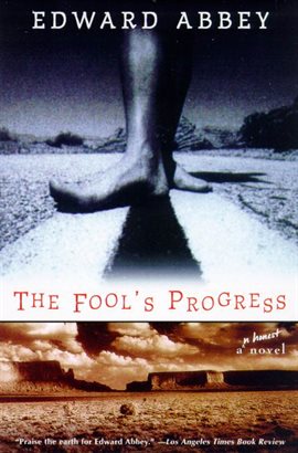 Cover image for The Fool's Progress