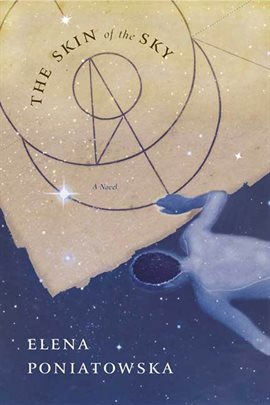 Cover image for The Skin of the Sky
