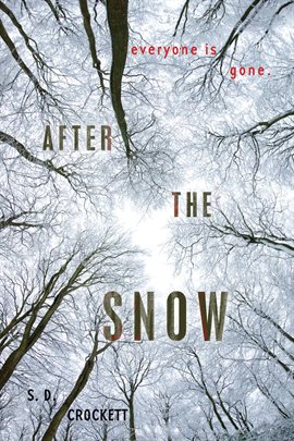 Cover image for After the Snow