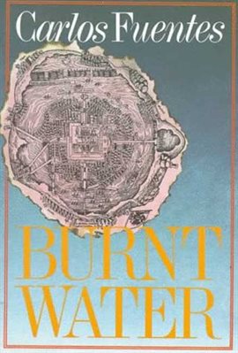 Imagen de portada para Burnt Water