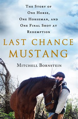 Cover image for Last Chance Mustang