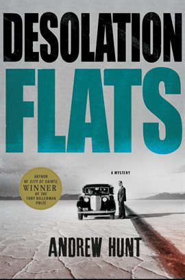 Cover image for Desolation Flats