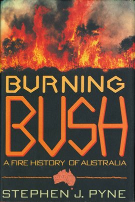 Cover image for Burning Bush