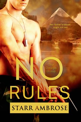 Cover image for No Rules