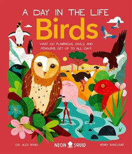 Imagen de portada para Birds