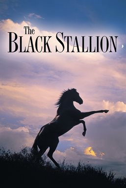 Cover image for The Black Stallion