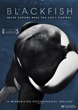 Cover image for Blackfish