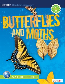 Cover image for Butterflies and Moths