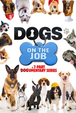 Cover image for The Nose Will Get the Job Done