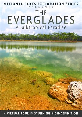 Cover image for The Everglades