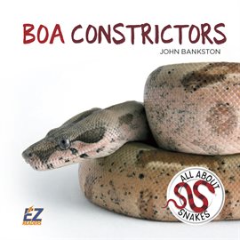 Cover image for Boa Constrictors