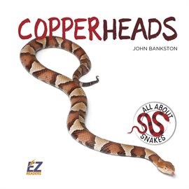 Cover image for Copperheads