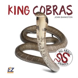 Cover image for King Cobras
