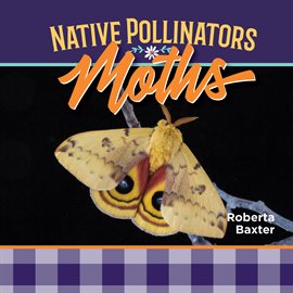 Imagen de portada para Moths