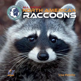 Cover image for All About North American Raccoons