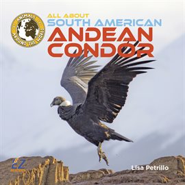 Cover image for All About South American Andean Condors