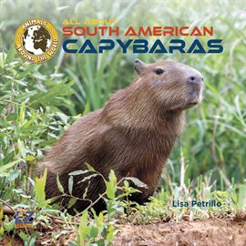 Cover image for All About South American Capybaras