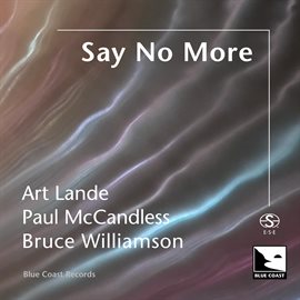 Cover image for Say No More