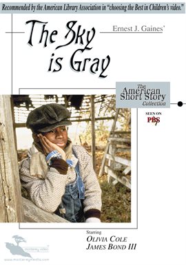 Cover image for The Sky is Gray