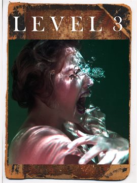 Imagen de portada para Level 3