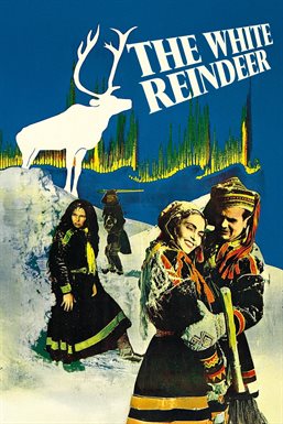 The White Reindeer