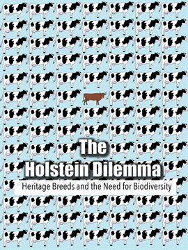 Cover image for The Holstein Dilemma
