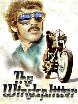 Cover image for Windsplitter