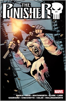 Cover image for Punisher By Greg Rucka Vol. 2
