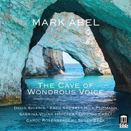 Cover image for The Cave Of Wondrous Voice