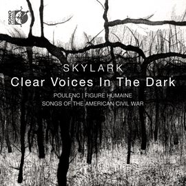 Imagen de portada para Clear Voices In The Dark