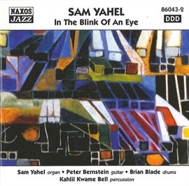 Imagen de portada para Yahel, Sam: In The Blink Of An Eye