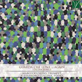 Cover image for Guarda Che Luna…again
