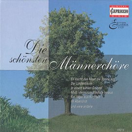 Cover image for Die Schonsten Mannerchore