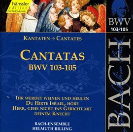 Cover image for Bach, J.s.: Cantatas, Bwv 103-105
