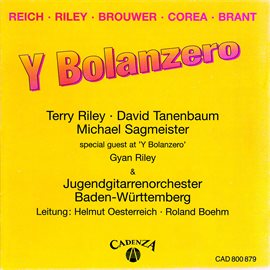 Cover image for Y Bolanzero
