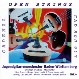 Imagen de portada para Open Strings