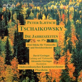 Cover image for Peter Iljitsch Tchaikovsky: The Seasons Op. 37a