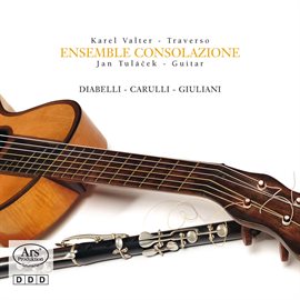 Cover image for Ensemble Consolazione