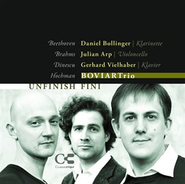 Cover image for Unfinish Fini