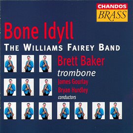 Cover image for Bone Idyll