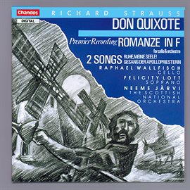 Cover image for Strauss: Don Quixote And Other Orchestral Works