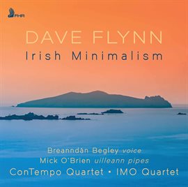 Cover image for Dave Flynn: Irish Minimalism