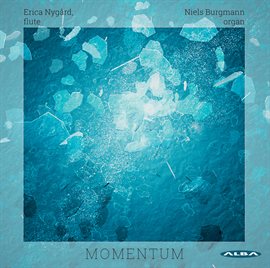 Cover image for Momentum