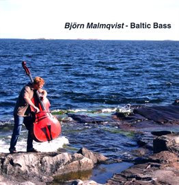 Cover image for Baltic Bass