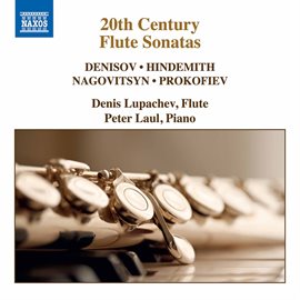 Cover image for 20th Century Flute Sonatas